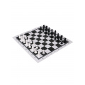 Фото товара - Настольная Игра Шахматы классические (поле 28,5*28,5см, пластик, картон, в пакете, от 6 лет) ИН-0160, (Рыжий кот)