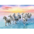 Фото товара - Пазлы 500 дет. Белые лошади 37289, (KZWP Trefl-Krakow)