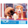 Маленькое фото товара - ПазлыTOPpuzzle 1000 дет. Щенки и мороженое ГИТП1000-2144, (Рыжий кот). Вариант №1