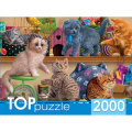 Фото товара - ПазлыTOPpuzzle 2000 дет. Смешные котята в зоомагазине ХТП2000-1596, (Рыжий кот)