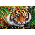 Фото товара - ПазлыKONIGSPUZZLE 1000 дет. Портрет тигра П1000-6630, (Рыжий кот)