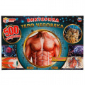 Маленькое фото товара - Умные Игры Викторина 500 вопросов. Тело человека (игровые элементы, правила, в коробке, от 12 лет) 332251/518419, (ООО "СИМБАТ"). Вариант №1