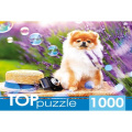 Фото товара - ПазлыTOPpuzzle 1000 дет. Шпиц в саду ШТТП1000-9859, (Рыжий кот)