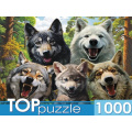 Фото товара - ПазлыTOPpuzzle 1000 дет. Селфи волков Ф1000-7730, (Рыжий кот)