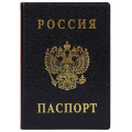 Маленькое фото товара - Обложка для паспорта ПВХ с тиснением черная 2203.В-107 ДПС. Вариант №1