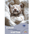Маленькое фото товара - Набор картона белого А4  10л  двусторонний мелованный "Белый тигренок" С0686-04 АппликА. Вариант №1