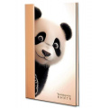 Фото товара - Телефонная книга А5 80л с вырубкой "Панда" С0272-75 Plano