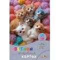 Фото товара - Набор цветного картона А4 10л 10цв  волшебного "Котята" С0010-48 АппликА