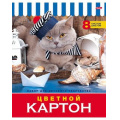 Фото товара - Набор цветного картона А3 8л "Кот" на скобе (046348) 16182 Хатбер