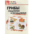 Фото товара - ШкольныйСловарикФГОС Грибы. Съедобные и несъедобные. Начальная школа (Сергеева М.Н.) (4-е изд.), (ВАКО, 2023), Обл, c.48