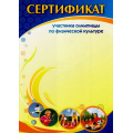 Маленькое фото товара - КЖ-1179 Сертификат участника олимпиады по физической культуре (А4), (Учитель). Вариант №1