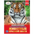 Маленькое фото товара - Энциклопедия Животные Красной книги (тигр) (с развивающими заданиями), (Умка, 2022), 7Бц, c.48. Вариант №1