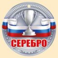 Маленькое фото товара - 5548200 Медаль "Серебро" (мини, подвеска, текст, флаг), (ИмперияПоздр). Вариант №1