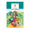 Фото товара - ШкБиб Мало Г. Без семьи (роман), (Детская литература, 2023), 7Бц, c.494