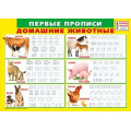 Фото товара - 070891 Плакат пиши-стирай "Первые прописи. Домашние животные" (А4, текст), (МирПоздр)