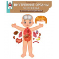 Фото товара - 5938500 Обучающий набор "Внутренние органы человека" (плакат, А1, 10 магнитных деталей, вырубка, на скотче), (ИмперияПоздр)
