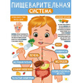 Фото товара - 2213700 Плакат "Пищеварительная система" (А2, текст), (ИмперияПоздр)