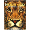 Фото товара - Энциклопедия Большие кошки. Дикие животные Африки (А4), (Умка, 2023), 7Бц, c.48
