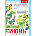 Маленькое фото товара - 071499 Плакат "12 месяцев. Июнь" (А4, текст), (МирПоздр). Вариант №1