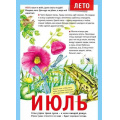 Маленькое фото товара - 071500 Плакат "12 месяцев. Июль" (А4, текст), (МирПоздр). Вариант №1