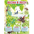 Фото товара - 071527 Плакат "Весна в лесу" (43*59, текст), (МирПоздр)