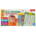 Фото товара - Говорящий Плакат Говорящий плакат. Музыкальная азбука (Жукова М.А.). Тело человека (200 вопросов, 200 слогов, 100 советов, двусторонний) HX0251-R93, (Умка, 2024), Кор