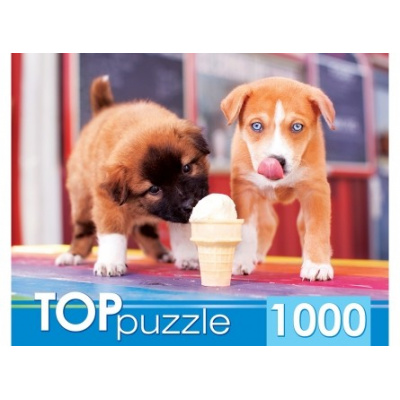 Большое фото товара - ПазлыTOPpuzzle 1000 дет. Щенки и мороженое ГИТП1000-2144, (Рыжий кот), 11-173039. Вариант №1