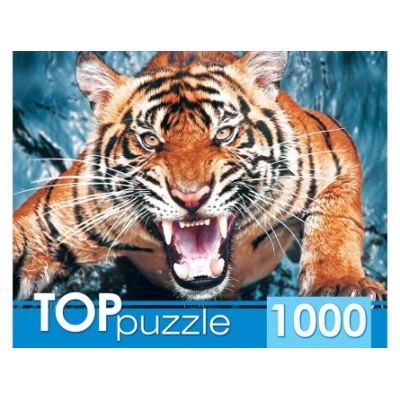 Большое фото товара - ПазлыTOPpuzzle 1000 дет. Грозный тигр ГИТП1000-2145, (Рыжий кот), 11-173040. Вариант №1