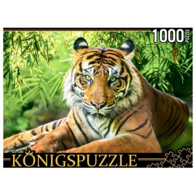 Большое фото товара - ПазлыKONIGSPUZZLE 1000 дет. Благородный тигр ГИK1000-0649, (Рыжий кот), 11-185135. Вариант №1