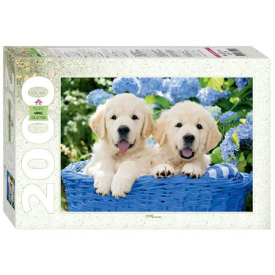 Большое фото товара - Пазлы 2000 дет. Щенята в корзине (Animal Collection) 84040, (Степ Пазл), 11-186323. Вариант №1