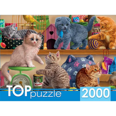 Большое фото товара - ПазлыTOPpuzzle 2000 дет. Смешные котята в зоомагазине ХТП2000-1596, (Рыжий кот), 11-188283. Вариант №1