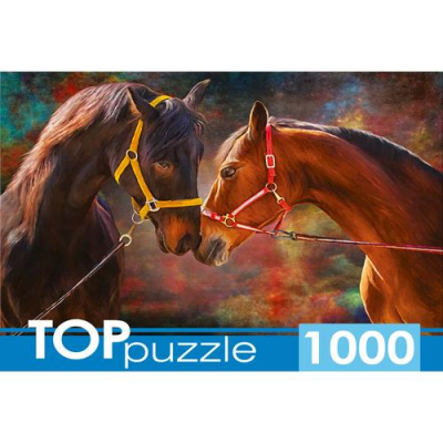 Большое фото товара - ПазлыTOPpuzzle 1000 дет. Влюбленные лошади ШТТП1000-9855, (Рыжий кот), 11-211197. Вариант №1