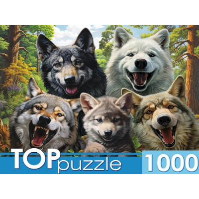 Большое фото товара - ПазлыTOPpuzzle 1000 дет. Селфи волков Ф1000-7730, (Рыжий кот), 11-230208. Вариант №1