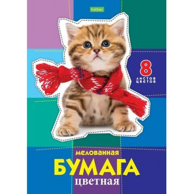 Большое фото товара - Набор цветной бумаги А4  8л 8цв мелованная "Котик" (060644) 20988 Хатбер, 12-120416. Вариант №1