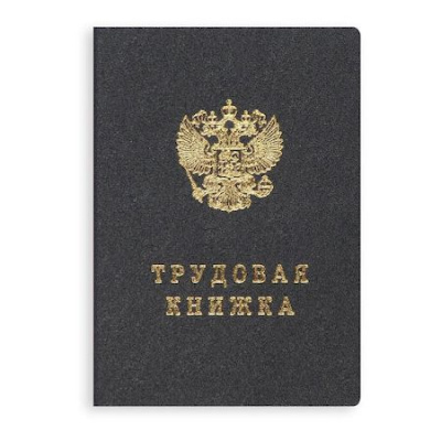 Большое фото товара - Бланк "Трудовая книжка" (в твердой обложке) 2023 год Гознак, 12-166831. Вариант №1