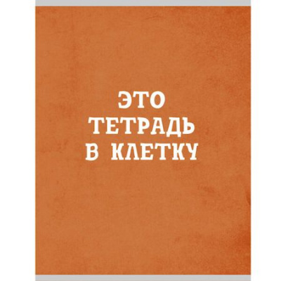 Большое фото товара - Тетрадь А4  48л клетка "Оранжевая в клетку" Т4485002 Listoff, 12-167408. Вариант №1