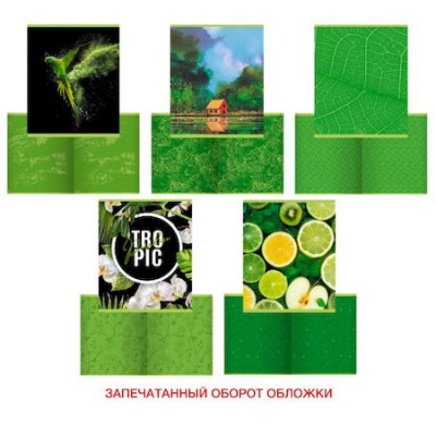 Большое фото товара - Тетрадь  48л клетка "Green mix" ТК488535 Listoff, 12-175558. Вариант №1