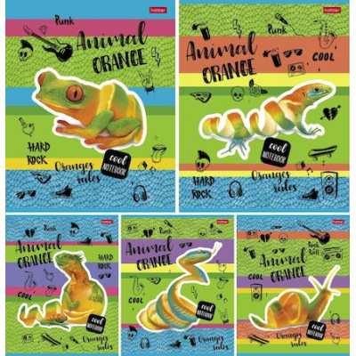 Большое фото товара - Тетрадь  80л клетка "Animals orange" (083207) Хатбер, 12-178905. Вариант №1