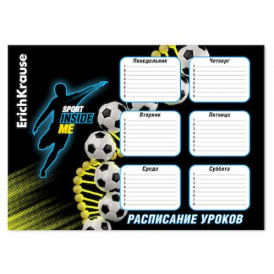 Большое фото товара - Расписание уроков А3 "Sport DNA" 61938 ErichKrause, 12-182178. Вариант №1