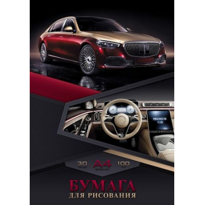 Большое фото товара - Папка для рисования А4 30л "Premium car" 100г/м2 (085637) 29655 Хатбер, 12-184863. Вариант №1