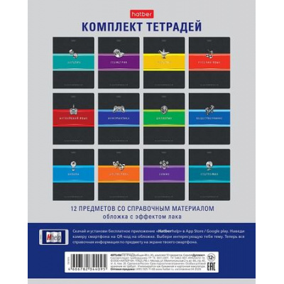 Большое фото товара - Комплект предметных тетрадей 48л 12 шт. в пленке "Гармония" (090158) Хатбер, 12-196702. Вариант №1
