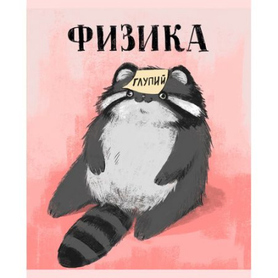 Большое фото товара - Тетрадь 48л "Манул Манулыч" по физике ТТК489319 Listoff, 12-201319. Вариант №1