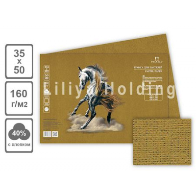 Большое фото товара - Бумага для пастели 35х50 см 10л 160г/м2 "Палаццо.Cinnamon" корица БРС/В3 Лилия Холдинг, 12-204995. Вариант №1