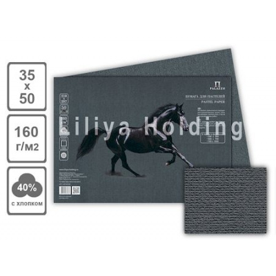 Большое фото товара - Бумага для пастели 35х50 см 10л 160г/м2 "Палаццо.Graphite" графит БРGH/В3 Лилия Холдинг, 12-204996. Вариант №1