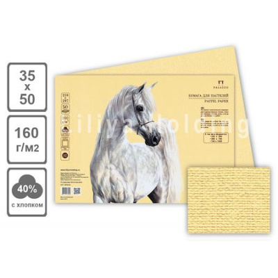 Большое фото товара - Бумага для пастели 35х50 см 10л 160г/м2 "Палаццо.Sand" песочный БPS/B3 Лилия Холдинг, 12-204999. Вариант №1