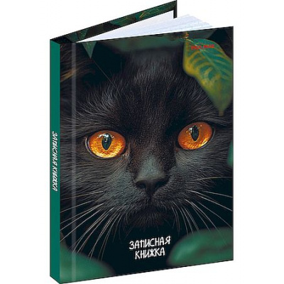 Большое фото товара - Записная книжка А6  96л клетка "ВЗГЛЯД ЧЁРНОГО КОТА" 96-7563 Проф-Пресс, 12-207663. Вариант №1