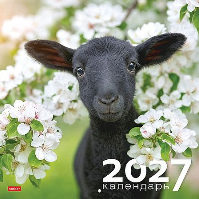 Большое фото товара - Календарь перекидной настенный 2027 г. 30х30 см ЭКОНОМ 6л "Знак Года" (096150) 36886 Хатбер, 12-211433. Вариант №1