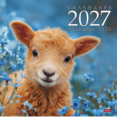 Большое фото товара - Календарь перекидной настенный 2027 г. 30х30 см Стандарт  "Символ года овечки"  12Кнп4_36891 (096162) Хатбер, 12-212412. Вариант №1