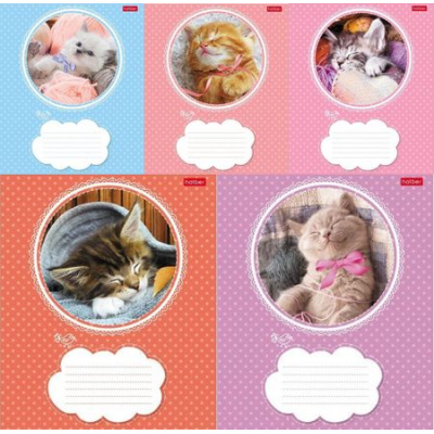 Большое фото товара - Тетрадь  18л линия "Котята" (012312) Хатбер, 12-76748. Вариант №1