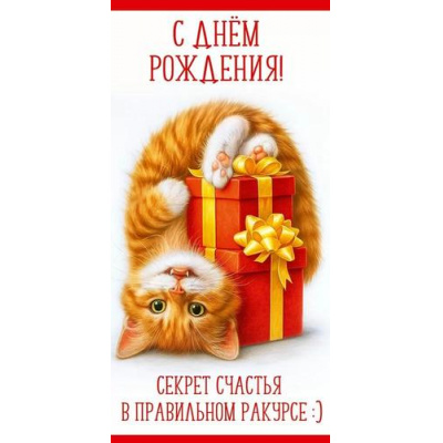 Большое фото товара - 50002201 С Днем рождения! Секрет счастья в правильном ракурсе! (конверт для денег, текст), (Праздник), 13-1011921. Вариант №1